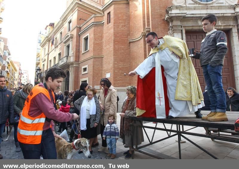 Castellón se vuelca con Sant Antoni