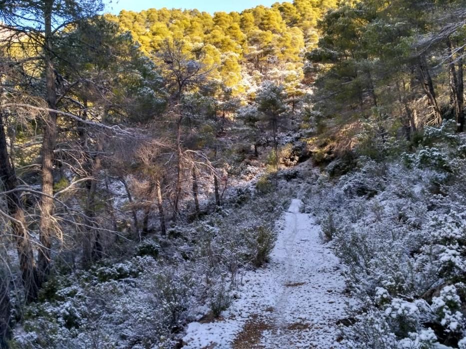 Nieve en La Carrasca, en Sierra Espuña