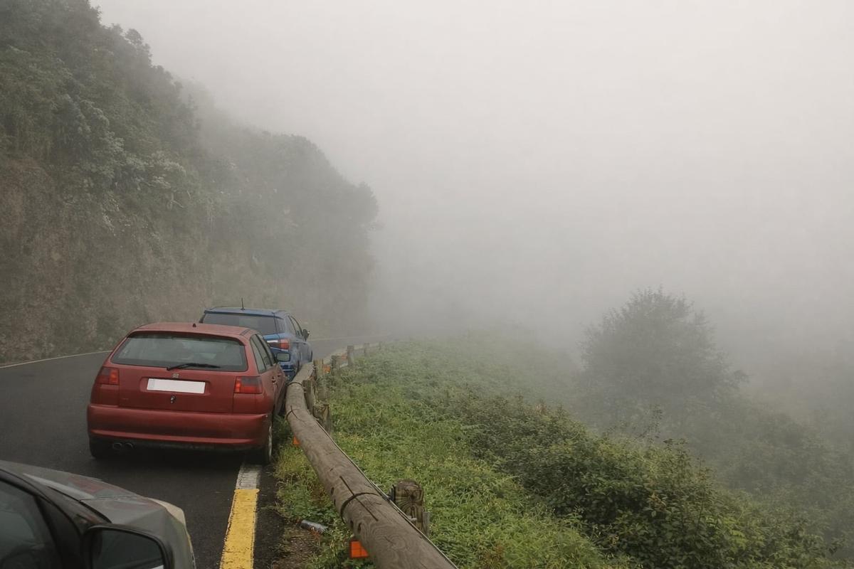 Trabajadoras del Servicio de Ayunda a Domicilio esperan en el interior de su vehículo el paso de la guagua para seguirla ante la falta de visilibilidad en Anaga por la dana.