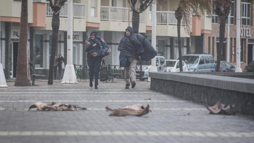 Dos ciudadanos, en la mañana de ayer, en la avenida marítima de Arrecife, a la altura de la playa de El Reducto.