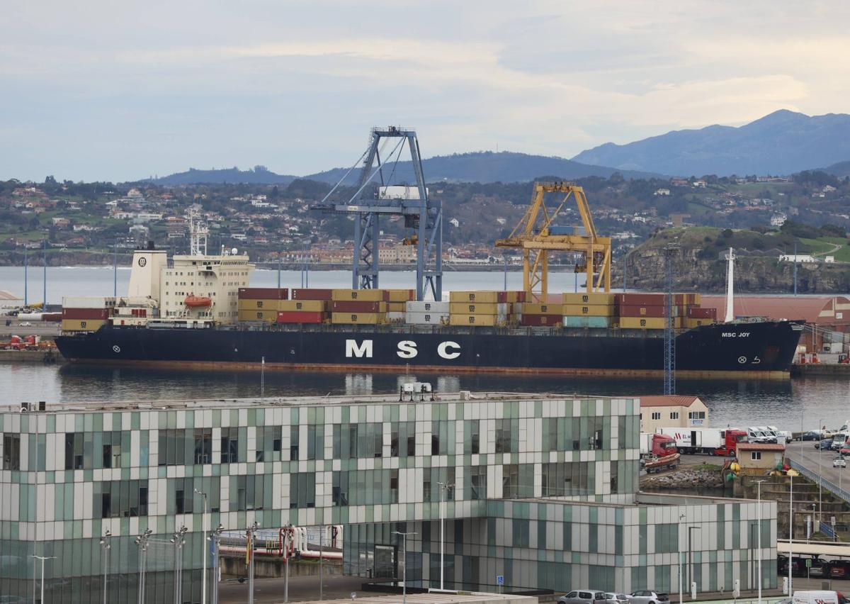 El «MSC Joy», atracado en la terminal de contenedores de El Musel el pasado 12 de enero, en la primera escala en Gijón de una línea transoceánica, que llega hasta Canadá. | ÁNGEL GONZÁLEZ