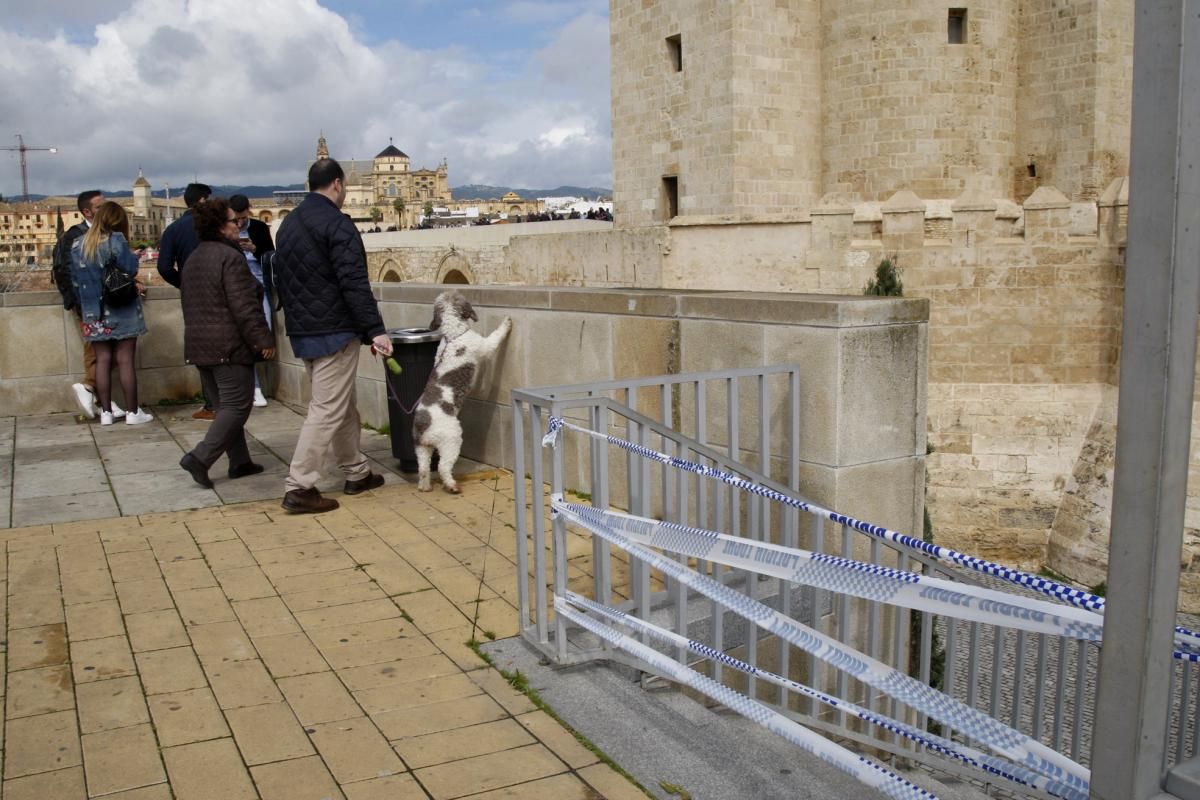 Córdoba, pendiente de la crecida del Guadalquivir