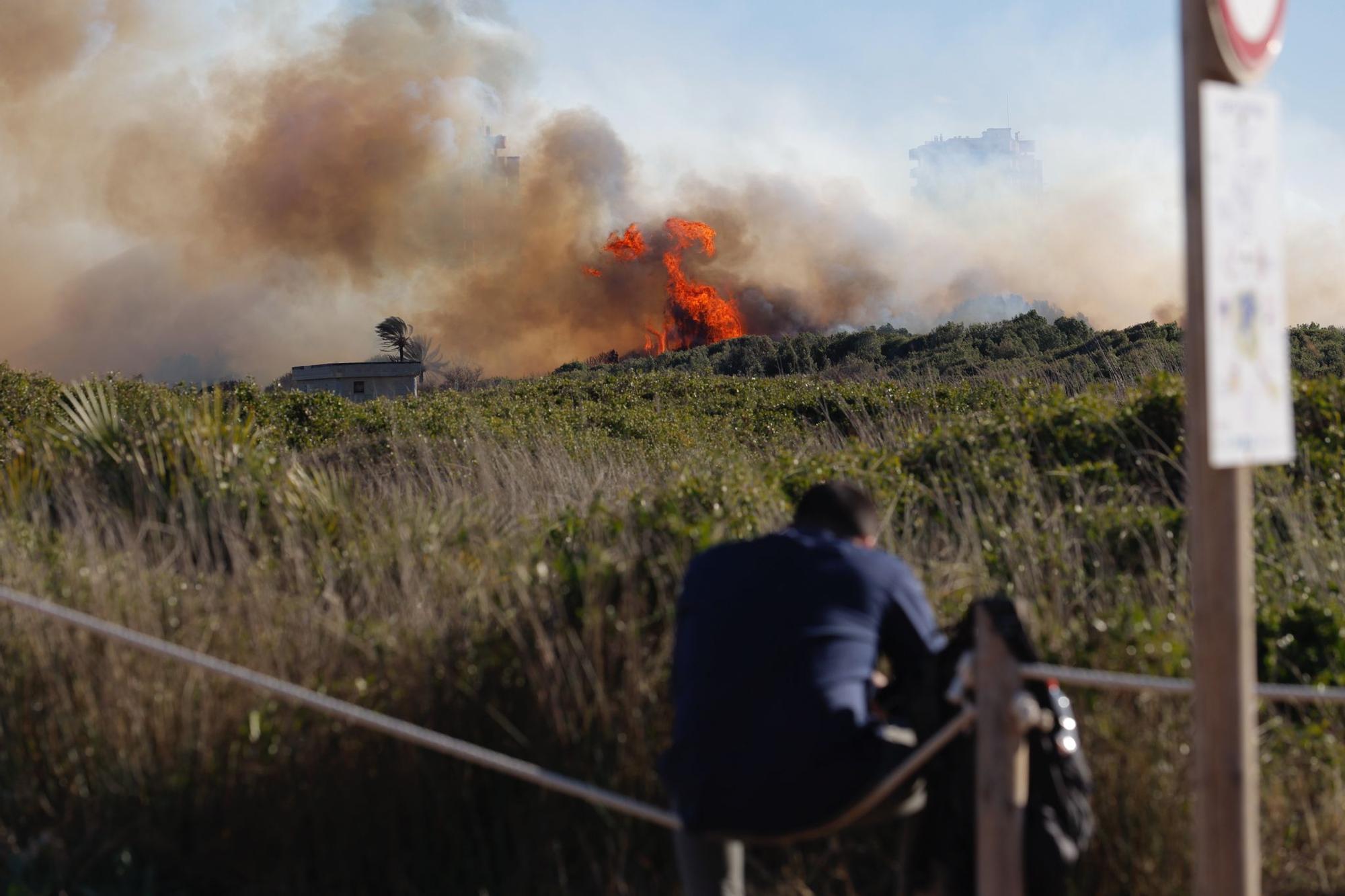 Declarado un incendio en el Saler