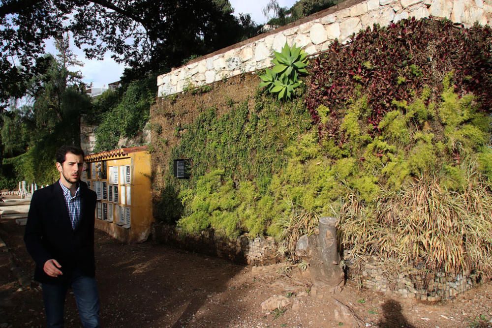 El gerente Guillermo Madueño, delante del jardín vertical del Cementerio Inglés, la zona más renovada de este Bien de Interés Cultural. El jardín vertical albergará columbarios y se completará con un jardín al uso al lado para columbarios en tierra.