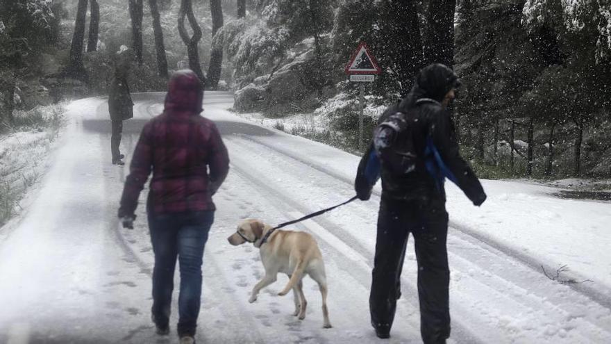 La nieve caerá hoy en la Serra de manera abundante y alcanzará espesores de hasta cinco centímetros.