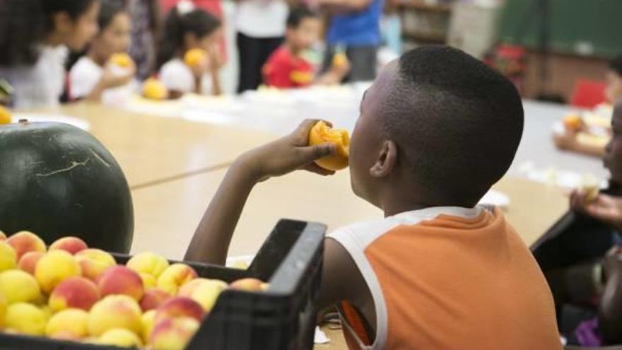 Mercalicante reparte fruta a los alumnos de los campamentos de verano