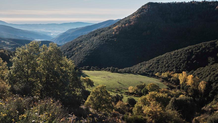 Comença el període d&#039;aportacions a la diagnosi del Pla de Protecció del Parc Natural del Montseny