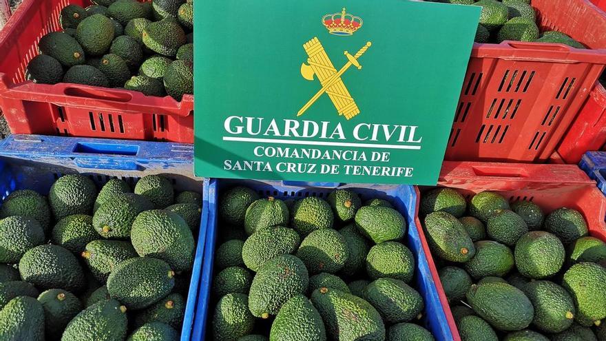 Cinco investigados por robar 850 kilos de aguacates en Tenerife