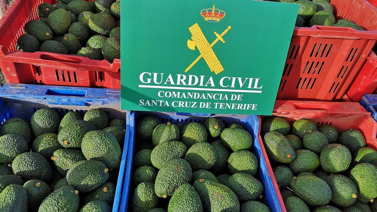 Cajas de aguacates hallados tras un robo anterior.