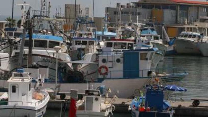 La flota pesquera de Santa Pola ha estado amarrada todo el mes de septiembre en el puerto por el paro biológico.