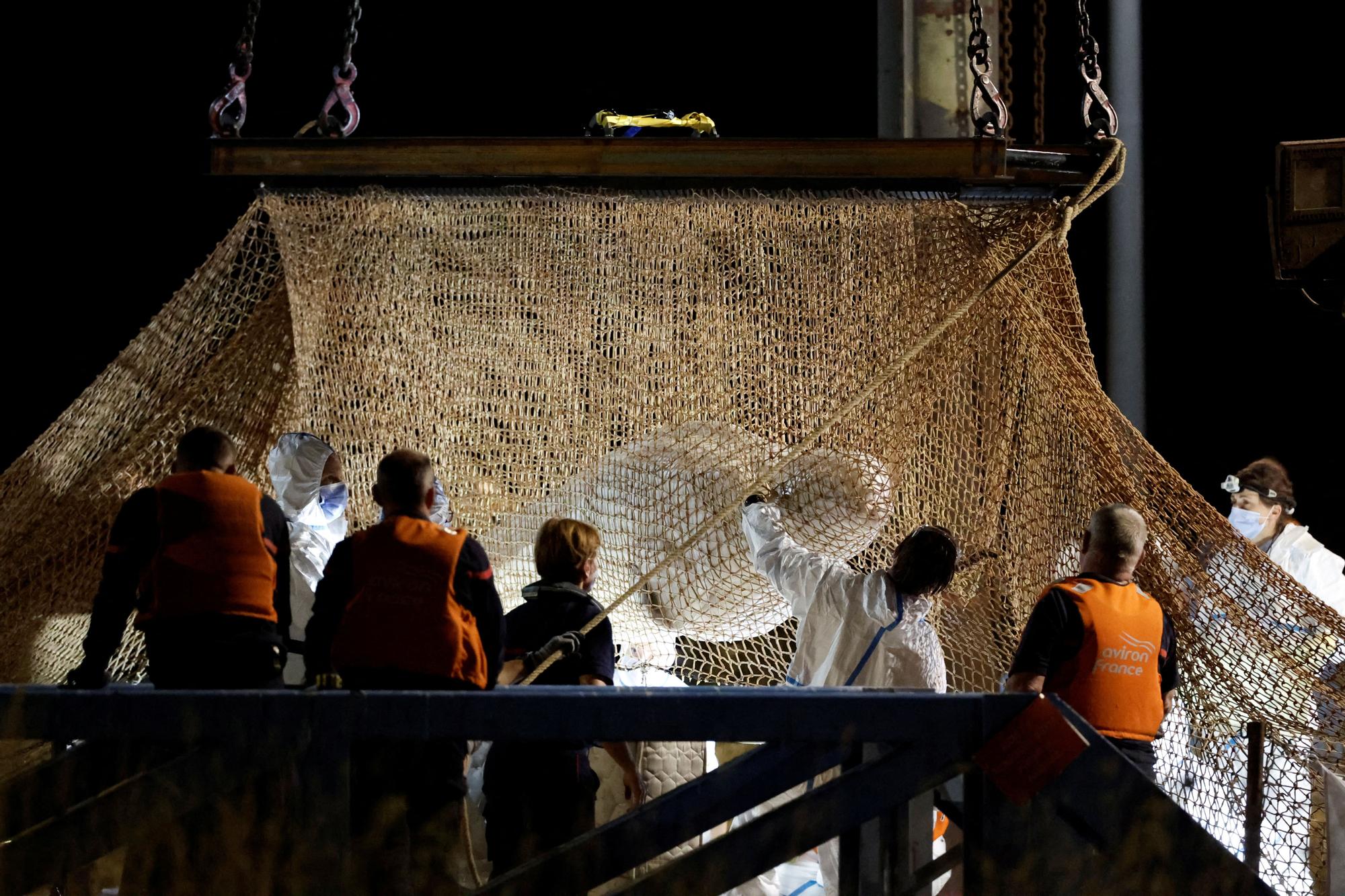 Beluga whale strayed into France's Seine river