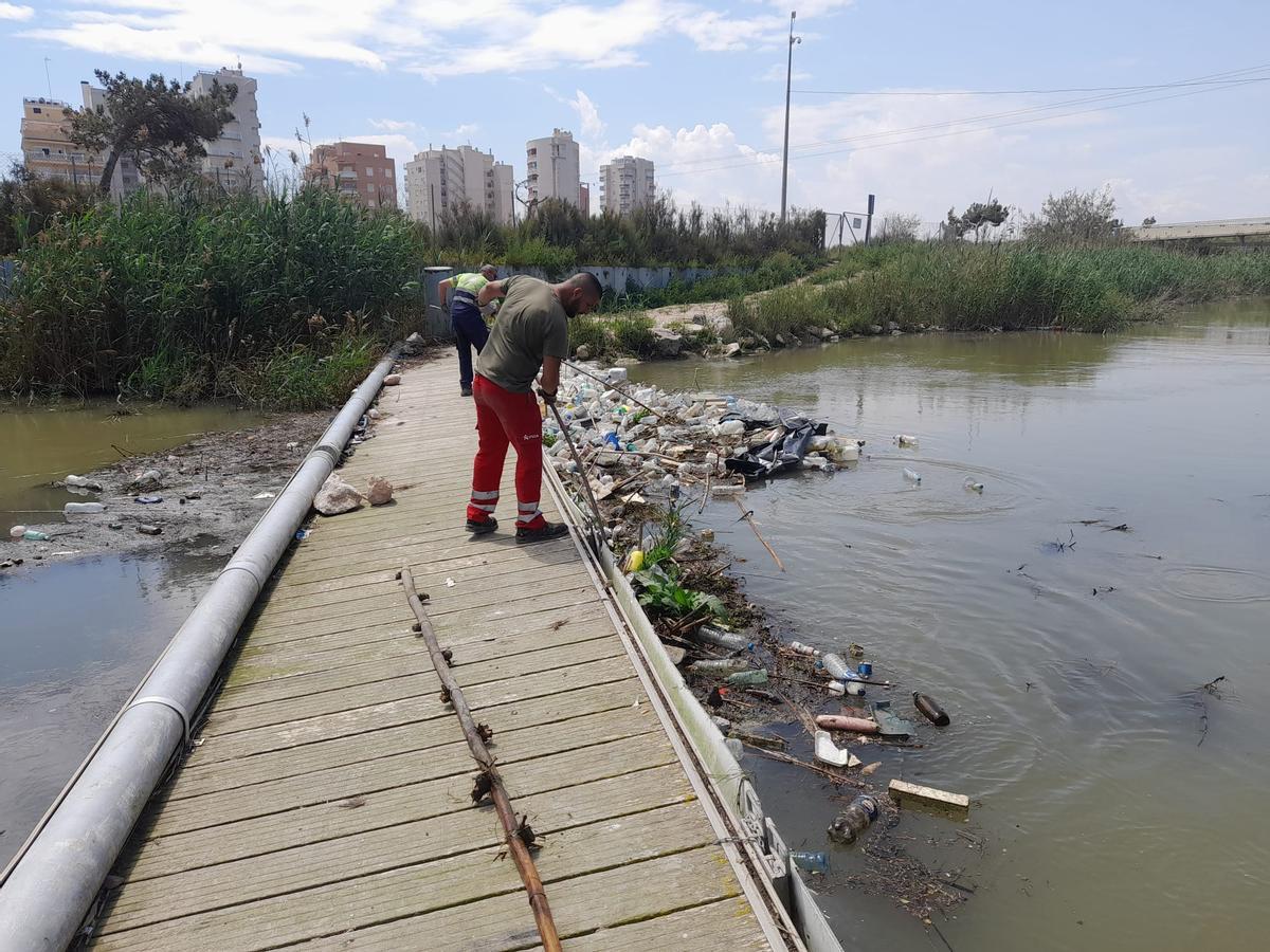 Retirada de residuos del tramo final del cauce nuevo de río Segura en Guardamar