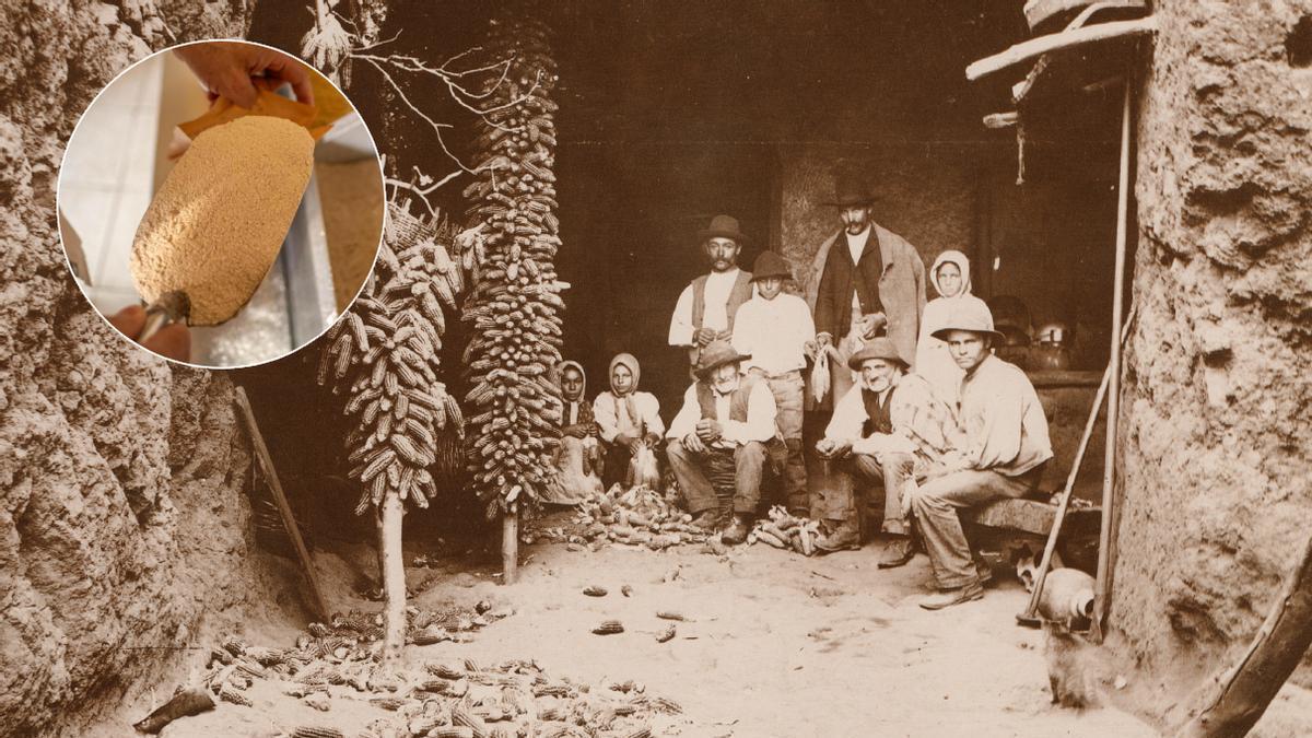 Una descamisada en 1895, la labor vecinal para preparar las piñas de millo antes de llevar el grano al molino y hacer gofio. En el detalle, gofio actual.