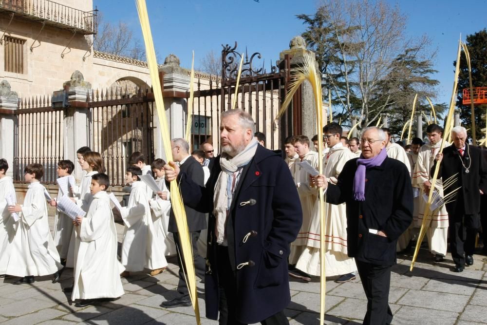 Bendición de ramos y palmas