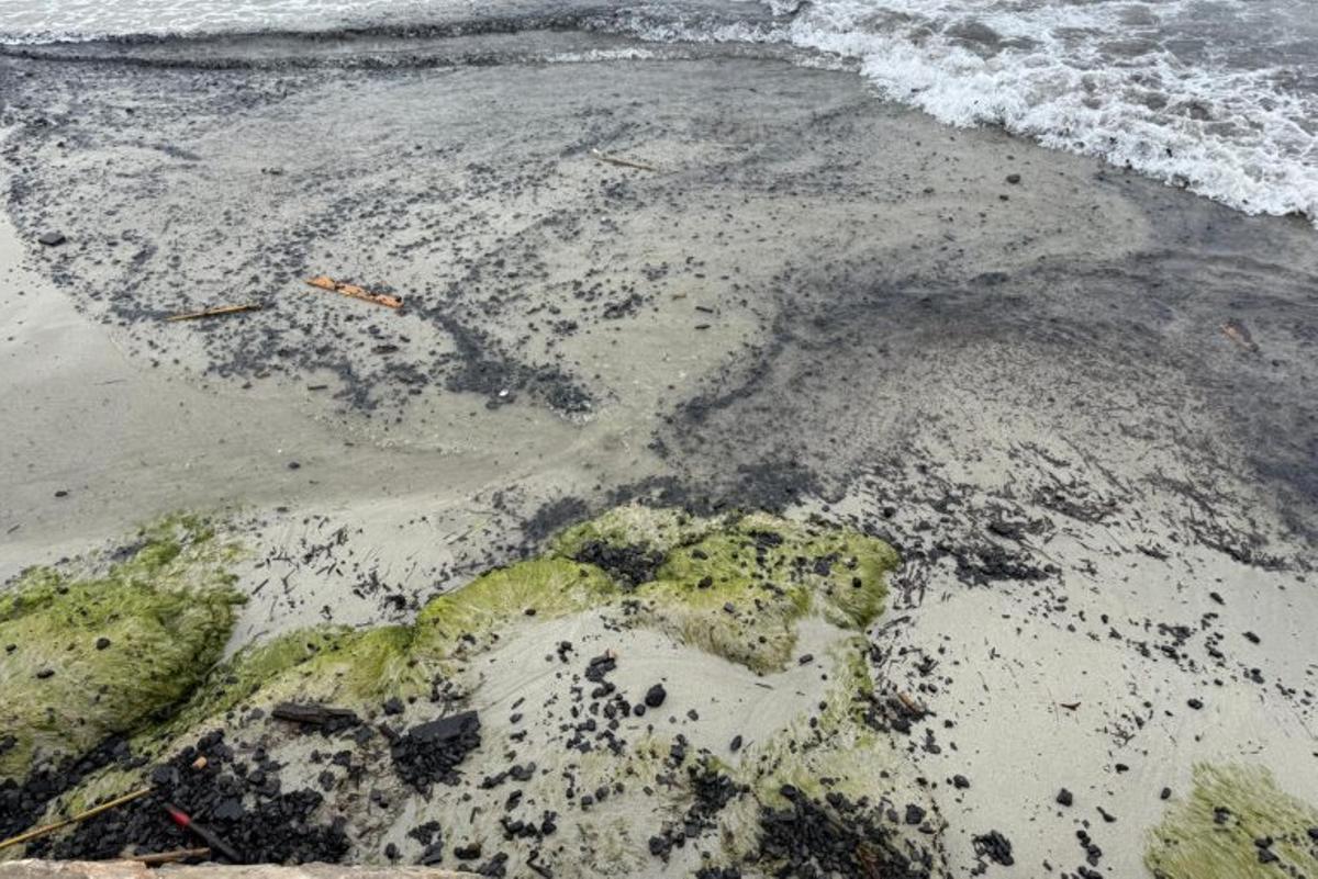 Madera quemada del barco arrastrada hasta la orilla. | J.A.C.