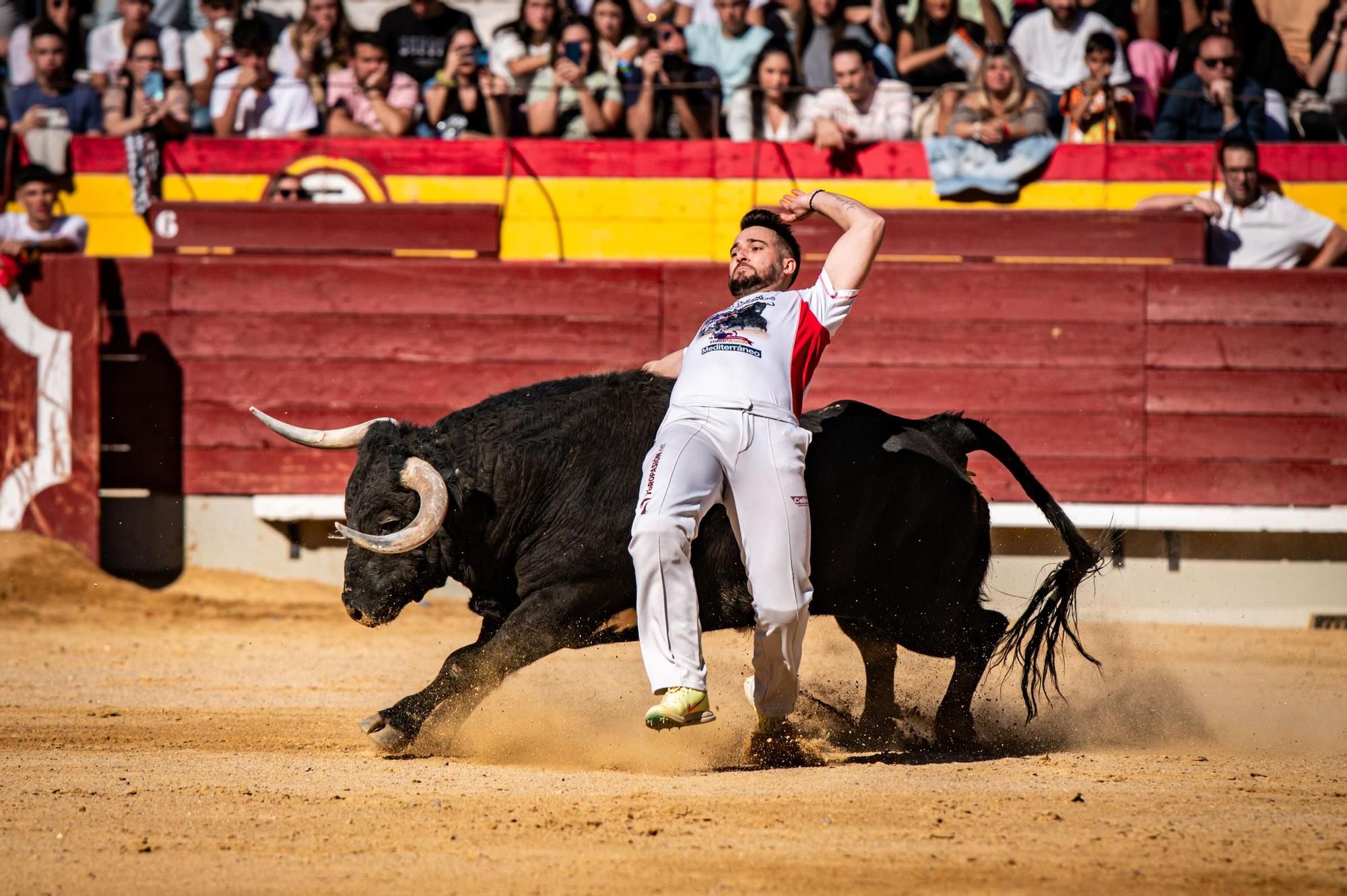 Así ha sido la gran final del campeonato de recortadores