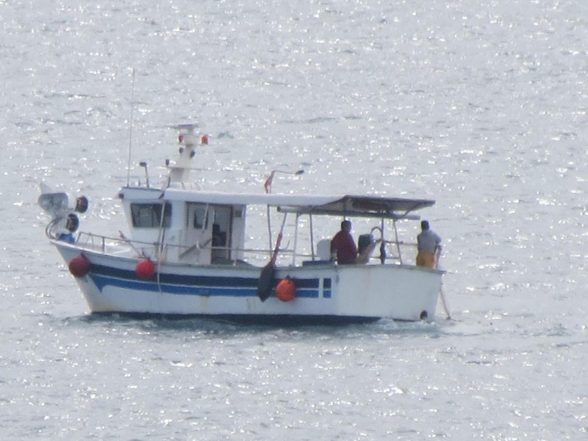 Els Payeros, en plena faena.