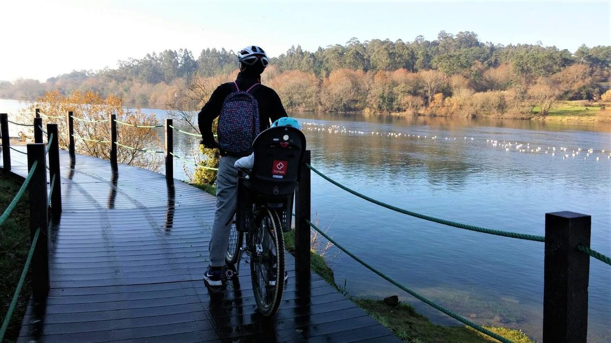 Un ciclista en uno de los tramos de la ecopista junto al río Miño.