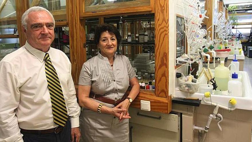 Los investigadores Carmen Nájera y Miguel Yus trabajan en el laboratorio codo con codo, como el famoso matrimonio Curie.