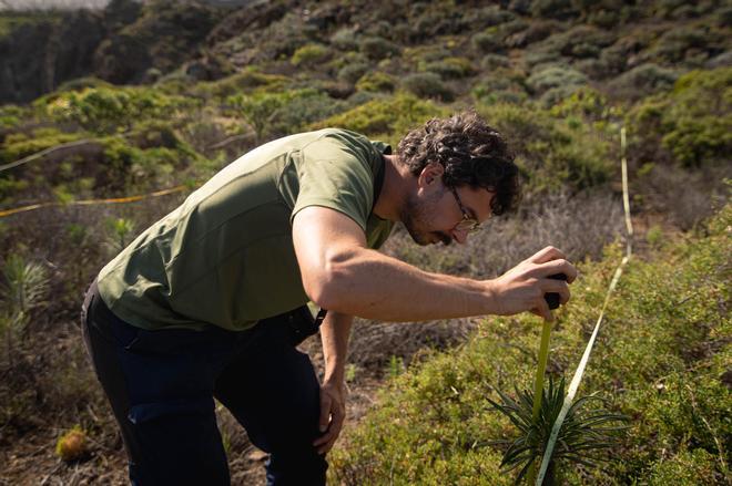 Reportaje sobre proyecto de monitoreo ambiental en Tenerife