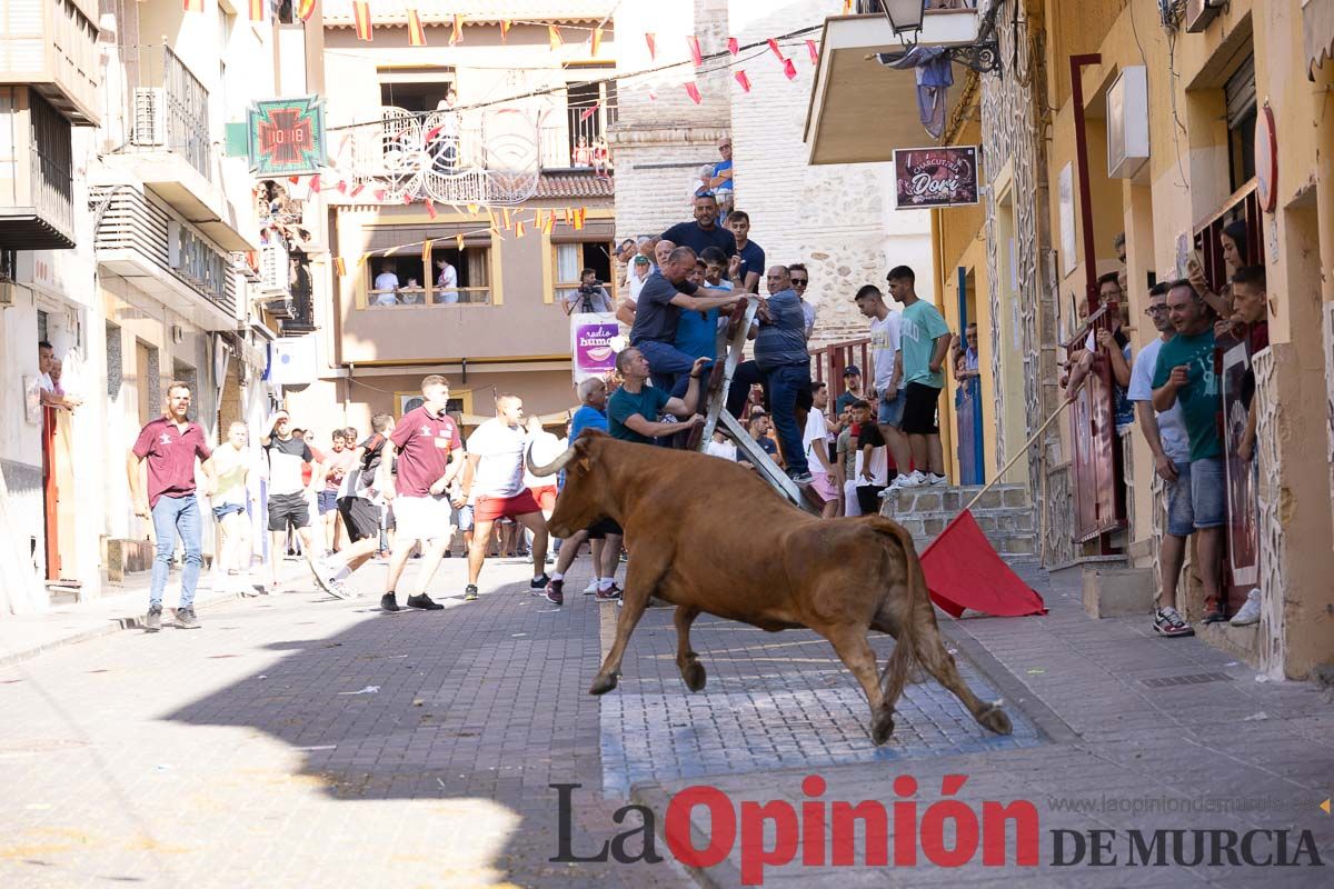 Primer encierro Fiestas de Moratalla