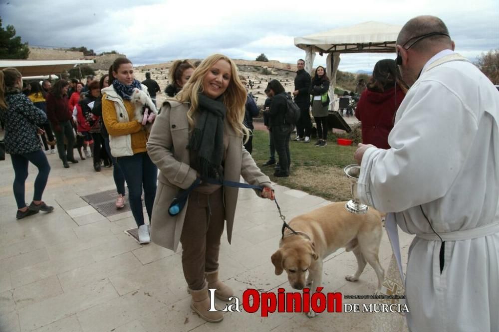 Jornada especial por San Antón en la Fortaleza del Sol de Lorca