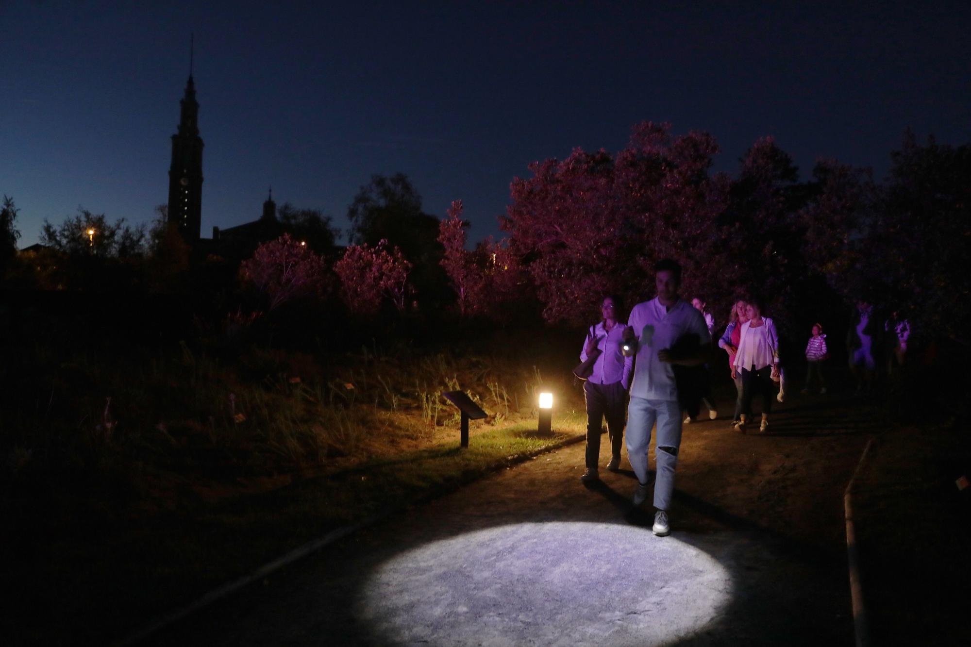 En imágenes: El Jardín Botánico de Gijón acoge las Noches Mágicas