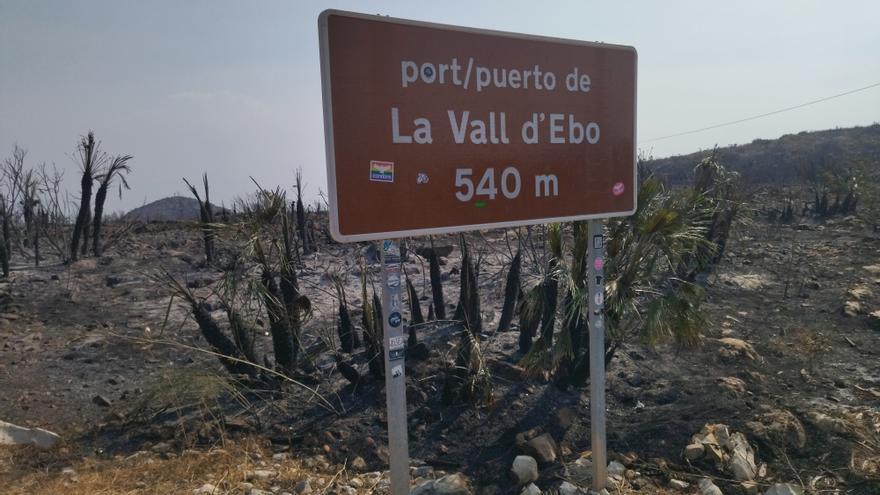 La Generalitat nombra al consejo asesor que decidirá las actuaciones de recuperación y prevención tras el incendio de la Vall d’Ebo