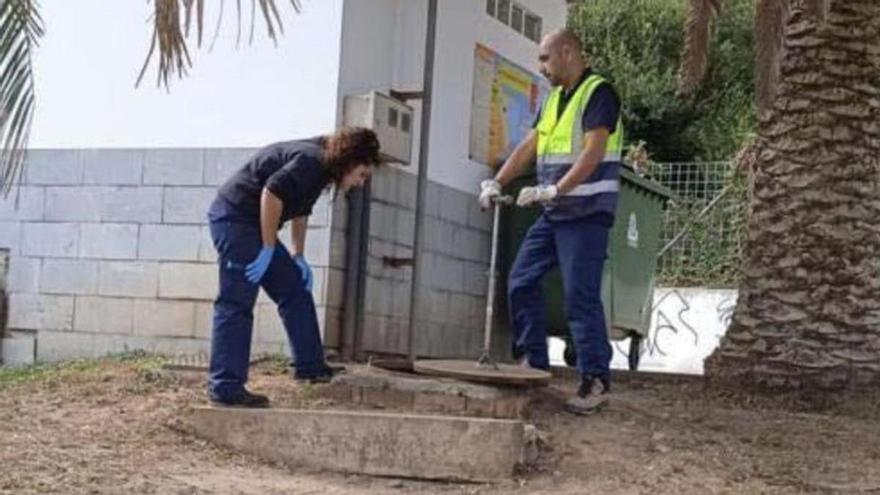 Alerta en Candás por la presencia de ratas en la playa de La Palmera: &quot;Esto es indignante&quot;