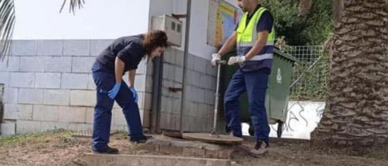 Dos operarios, ayer, durante las labores de desratización. | R. B. G.