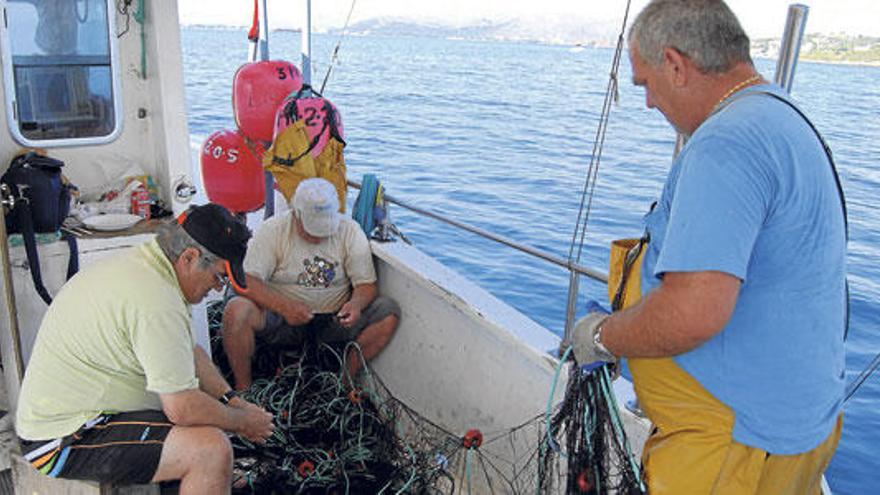 Varios pescadores preparan una red langostera para proceder a su calado en aguas próximas al Port d´Alcúdia.