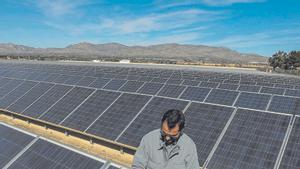 Compartir el sol a Crevillent