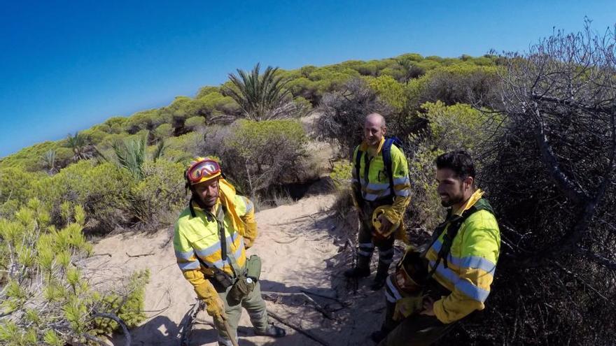 Miembros de las brigadas, al término de los trabajos