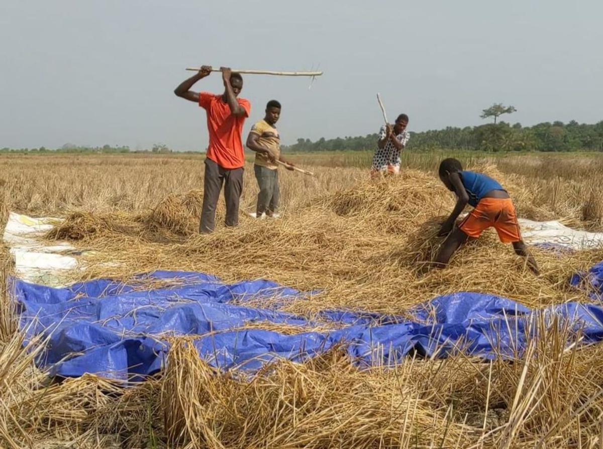 Cambiando vidas en Sierra Leona