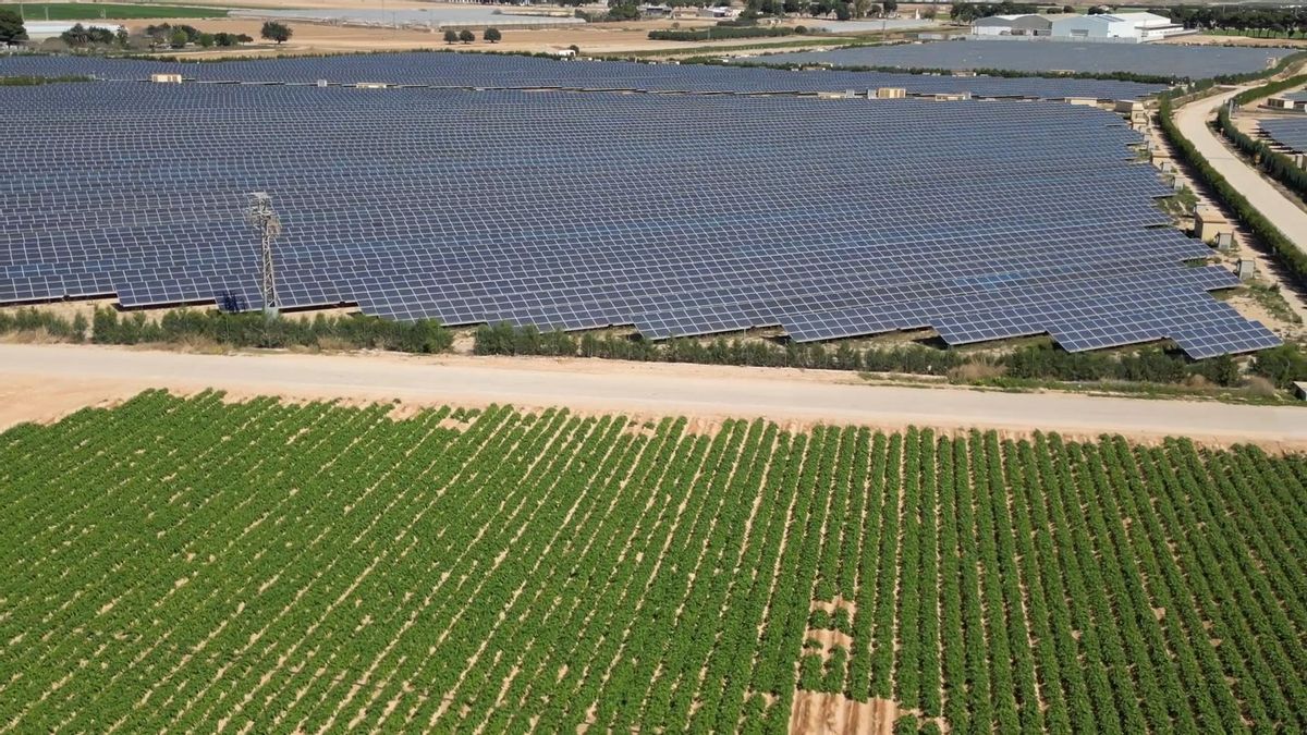 Planta fotovoltaica ubicada en el Campo de Cartagena.