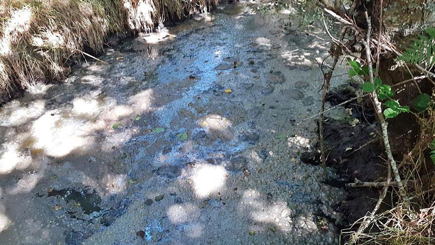 Años sin aguas cristalinas por el cauce del Tera en Sanabria
