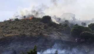 La Urbana deté un sospitós de provocar el foc de Collserola