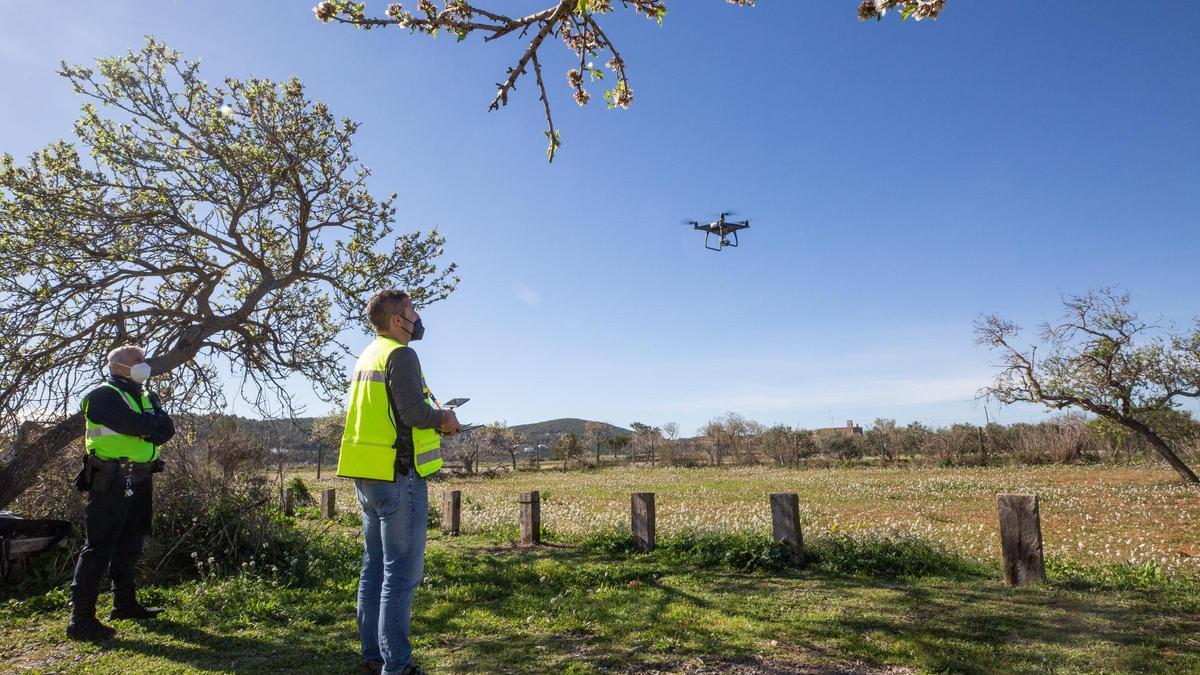 Un dron sobrevuela a lo largo de la jornada el Pla de Corona para controlar que se respeten las propiedades privadas.