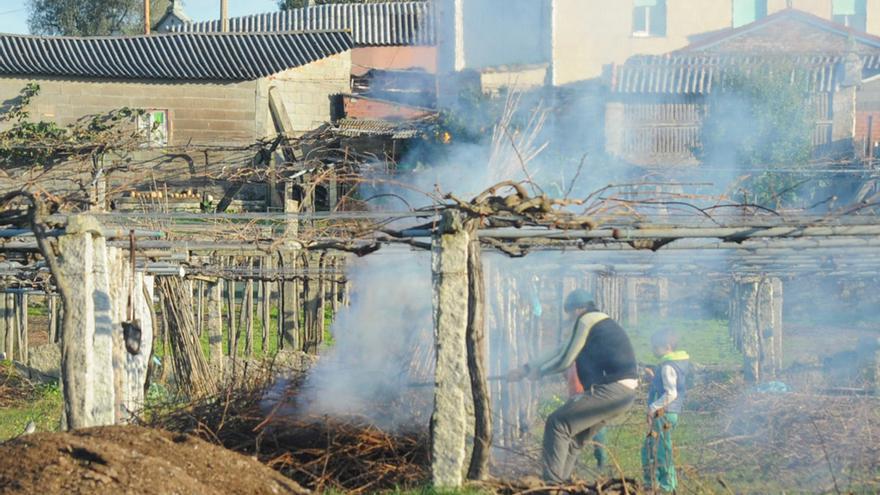 La prohibición de quemar restos agrícolas condiciona la poda