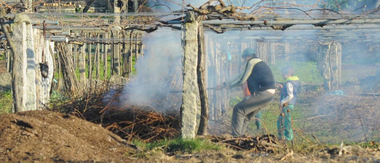 Quema de restos de poda en las viñas de la comarca.