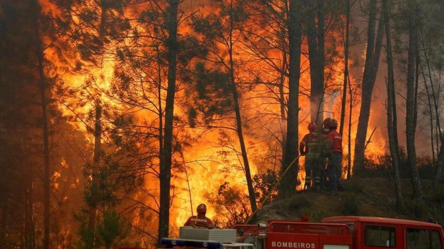 Fuegos de sexta generación: el apogeo del incendio forestal
