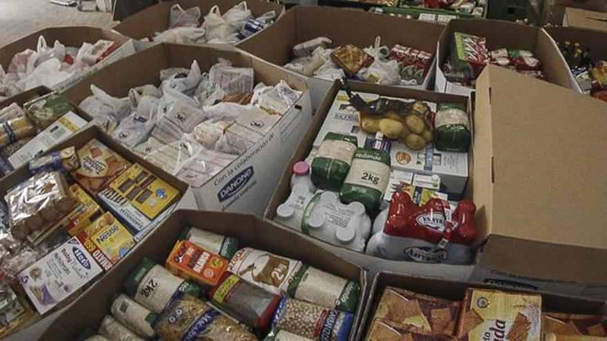 El Banco de Alimentos de Cáceres recogió en toda la provincia 135.000 kilos de comida en su última campaña