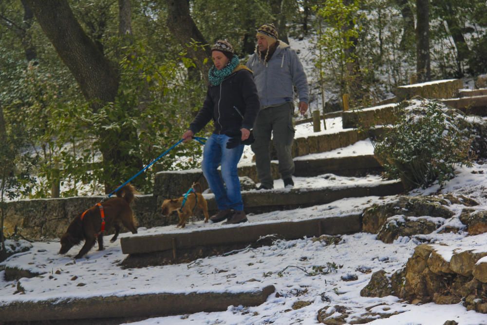 La nieve llega al interior de la provincia