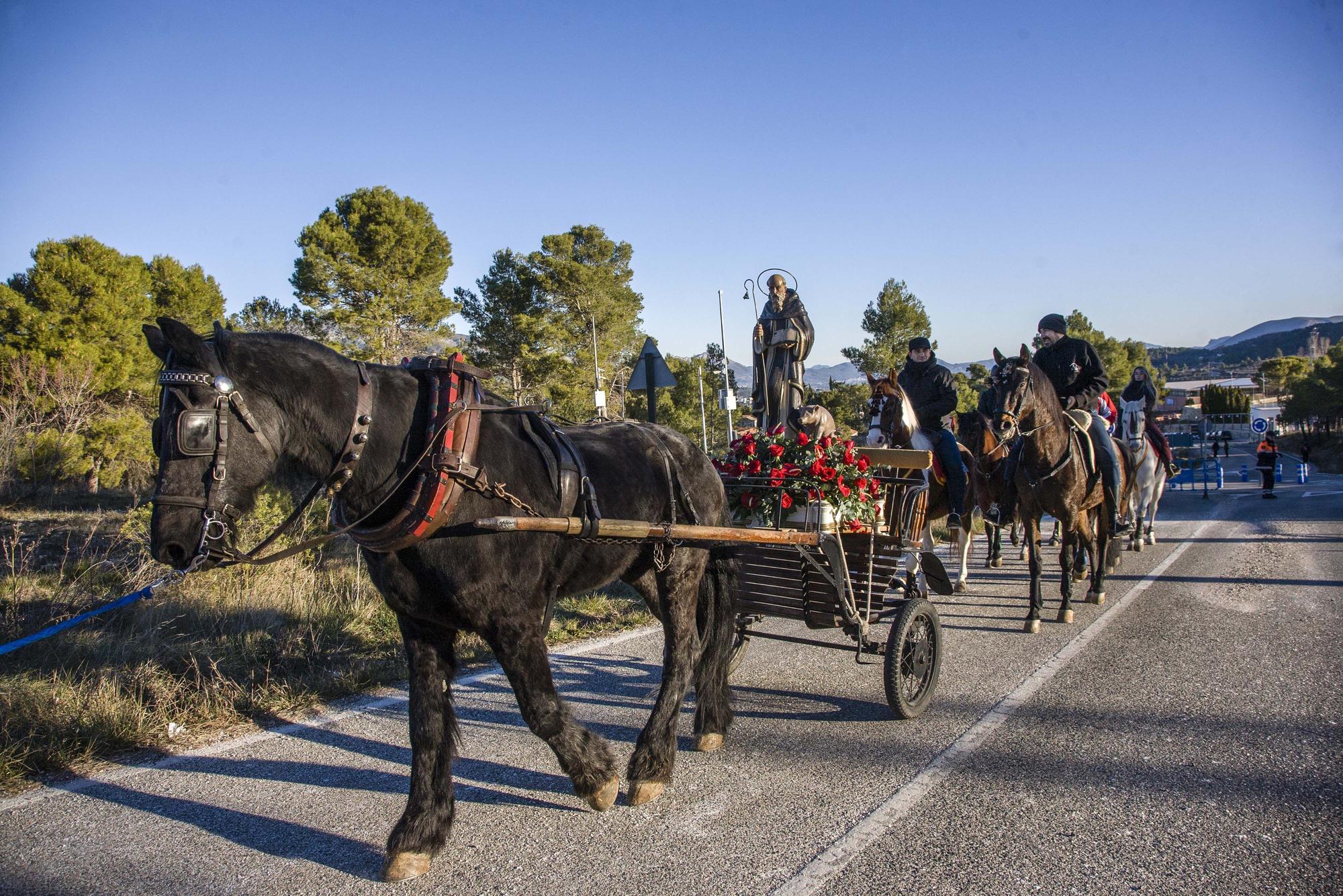 Alcoy vuelve a celebrar la Romería de Sant Antoni