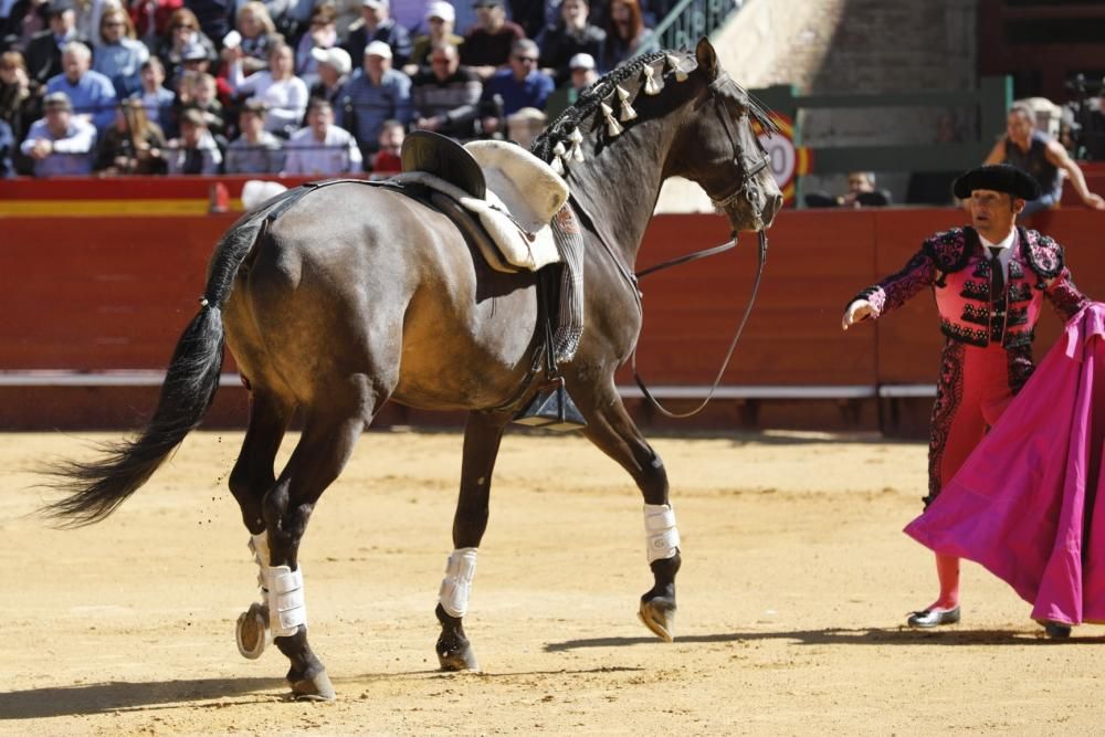 Secuencia de la cogida de uno de los caballos del rejoneador Sergio Galán el día de San José en la Feria de Fallas 2019.