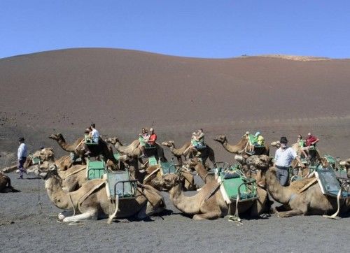 ctv-na7-turistas-en-camellos--12355302