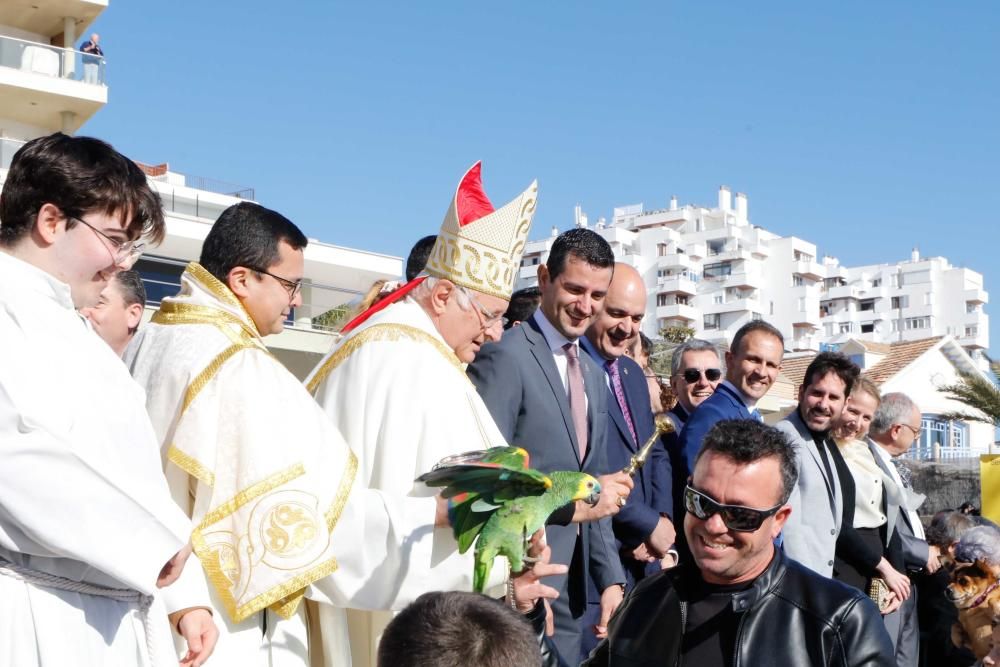 Día grande en Sant Antoni