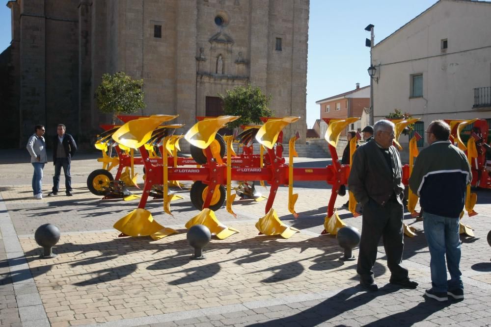 Feria de los Santos Fuentesaúco