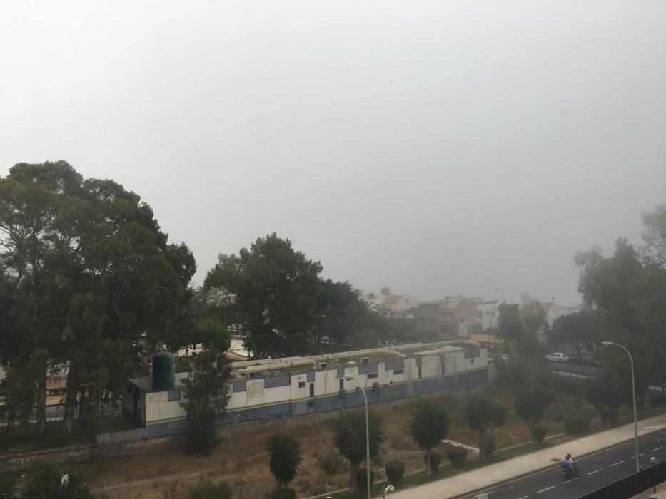 La alta humedad de la mañana, mezclada con el viento del sudeste y las altas temperaturas han provocado este fenómeno que no es inusual en los días de verano