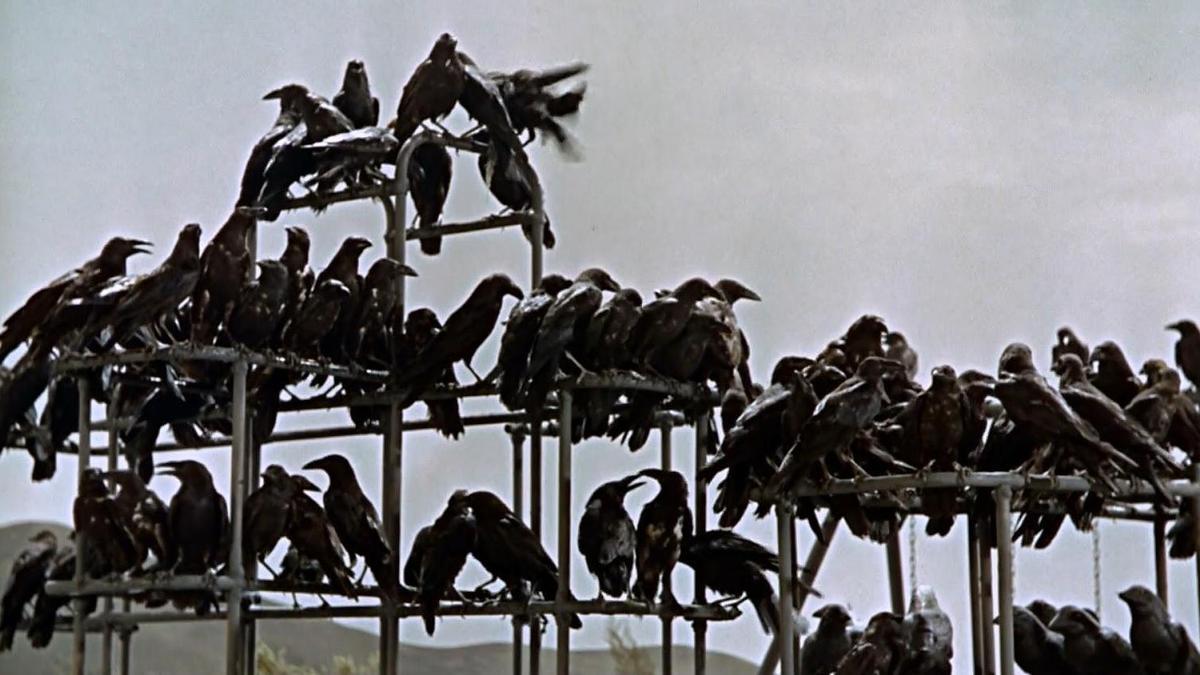 'Los pájaros', de Hitchcock